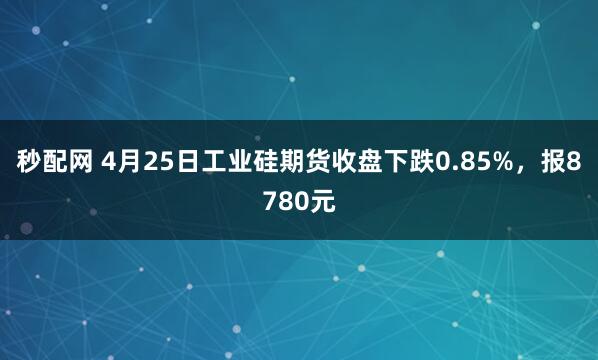 秒配网 4月25日工业硅期货收盘下跌0.85%，报8780元