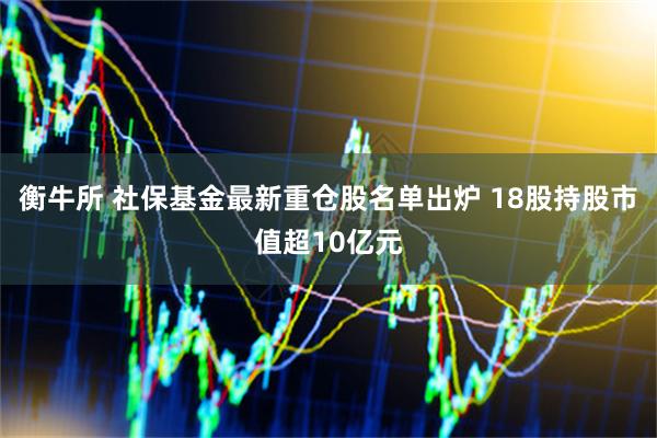 衡牛所 社保基金最新重仓股名单出炉 18股持股市值超10亿元