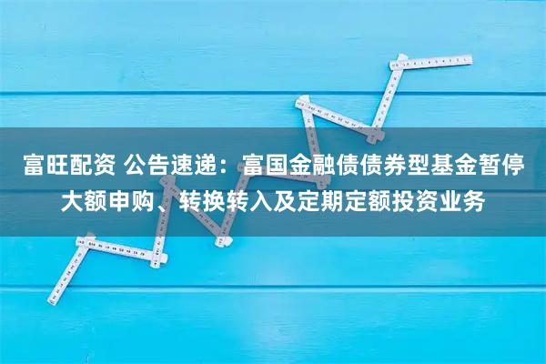富旺配资 公告速递：富国金融债债券型基金暂停大额申购、转换转入及定期定额投资业务